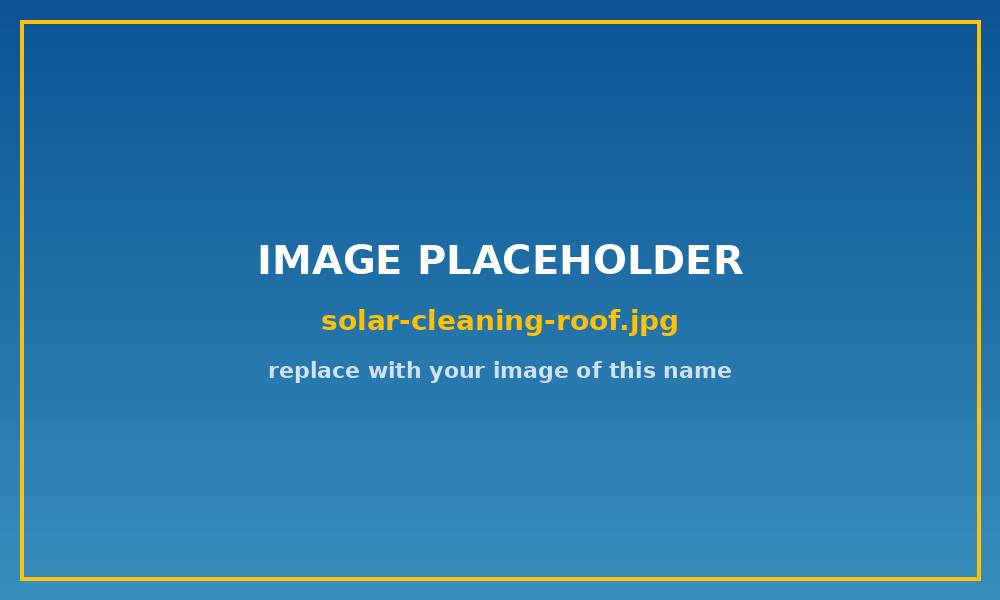 Professional cleaning solar panels safely from the ground with a pole