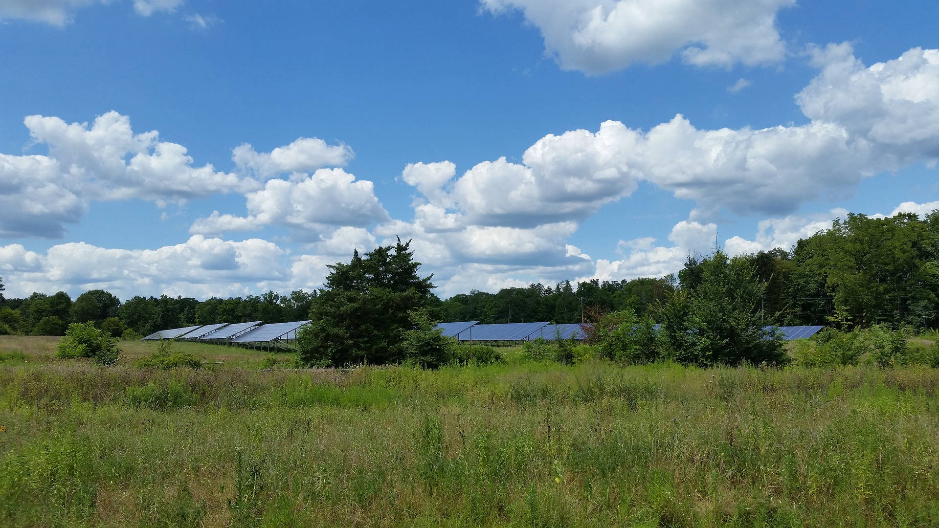 Homeowner reviewing solar export income and tax considerations